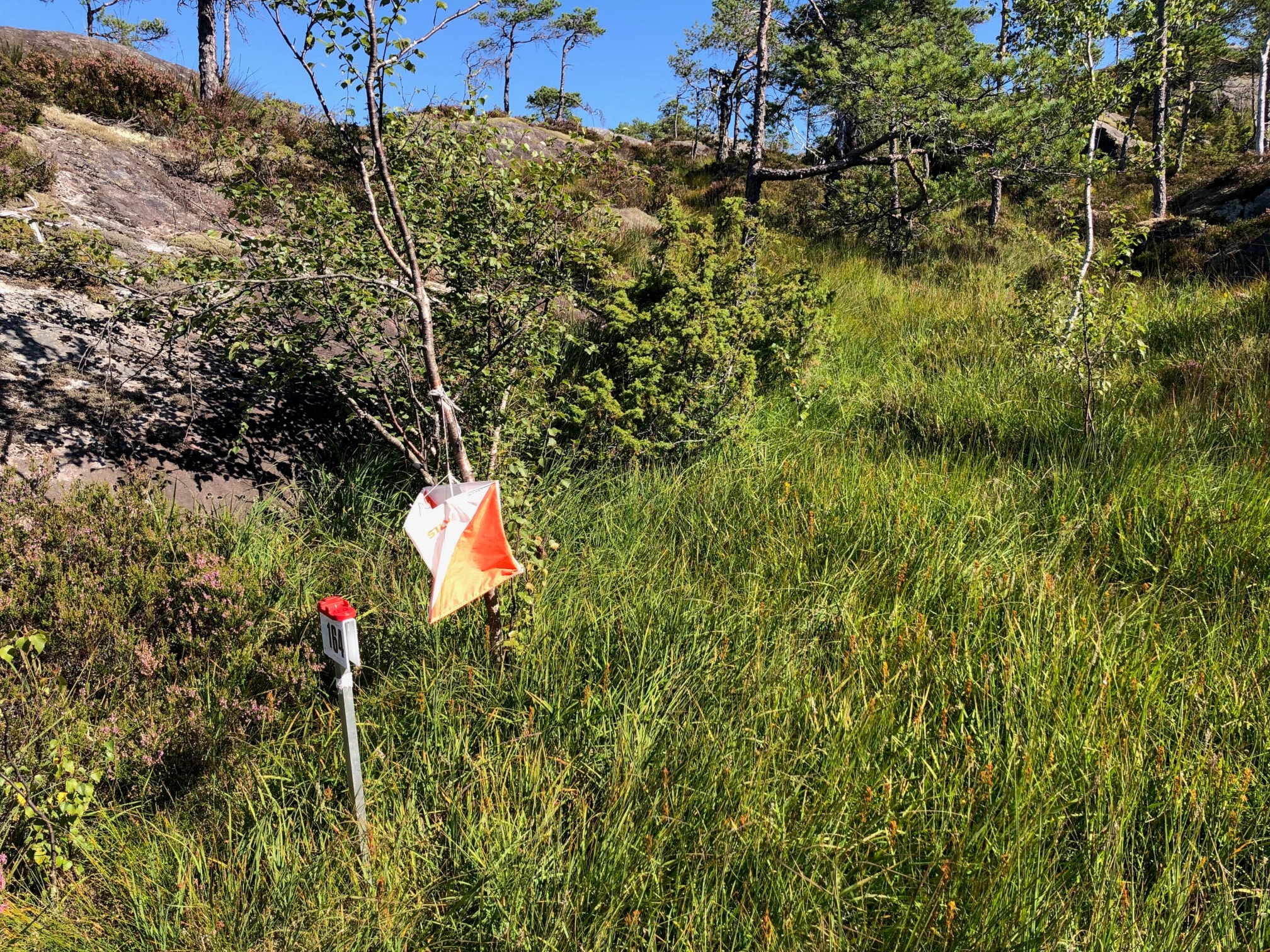 Nærløp Kråkenesmarka 27. august